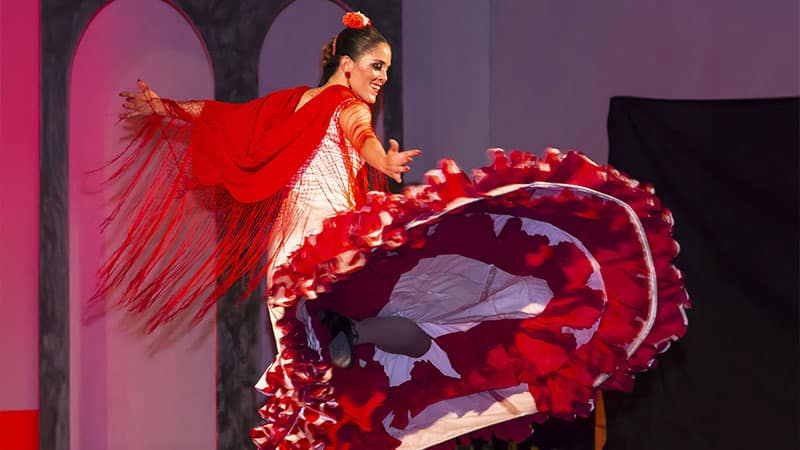 Soirée show flamenco