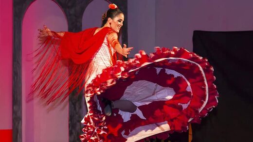 Soirée show flamenco