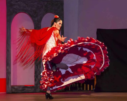 Soirée show flamenco