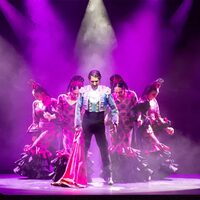 Soirée show flamenco