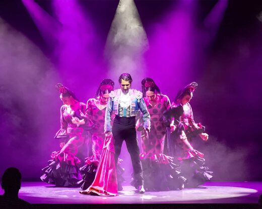 Soirée show flamenco