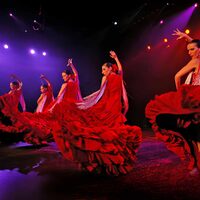 Soirée show flamenco