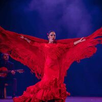 Soirée show flamenco