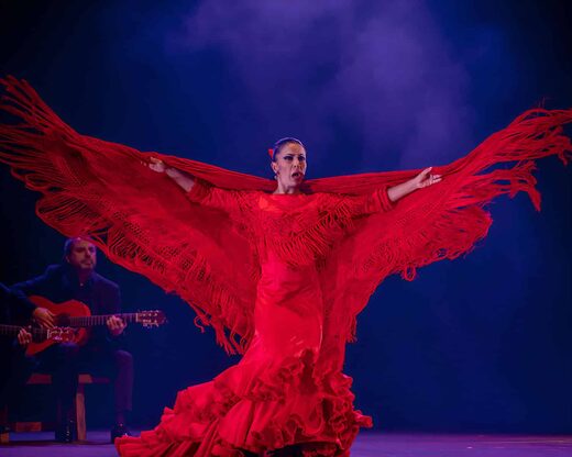 Soirée show flamenco