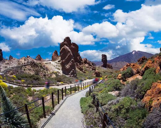 Demi-journée découverte du parc national de Teide