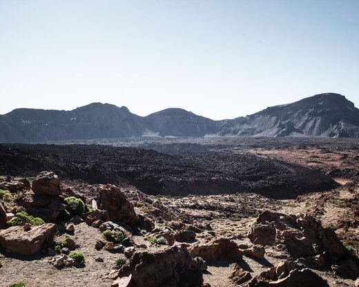 Demi-journée découverte du parc national de Teide