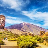 Demi-journée découverte du parc national de Teide