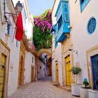 Demi-journée Tunis Médina