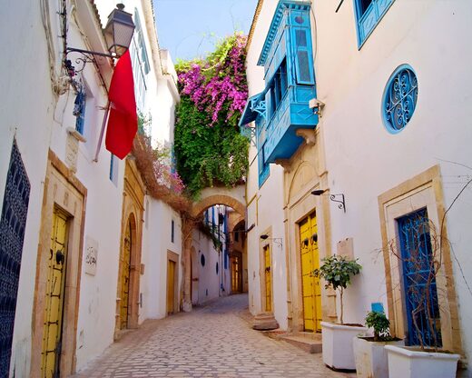 Demi-journée Tunis Médina
