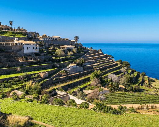Demi-journée à Valldemossa