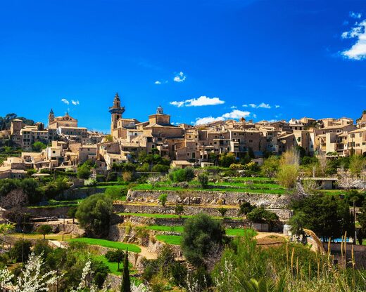 Demi-journée à Valldemossa