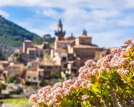 Demi-journée à Valldemossa