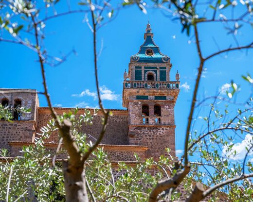 Demi-journée à Valldemossa