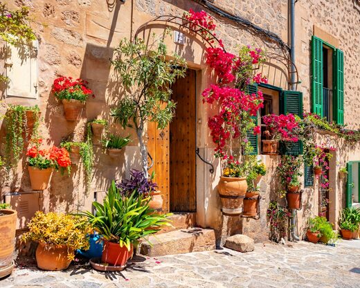 Demi-journée à Valldemossa