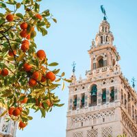 Journée Complète à Séville, la ville reine d&#8217;Espagne